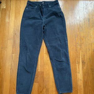 BDG Color Corduroy High-Waisted Mom Pant in Navy, size 28